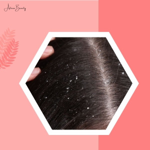 Catalog Banner Image